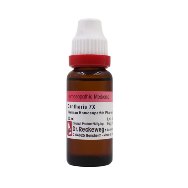 Dr. Reckeweg Cantharis 7X Liquid 20 ml