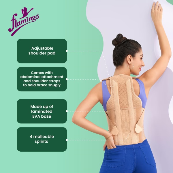 10633-flamingo-dorsolumbar-spinal-brace-taylors-brace-oc2034-s-1-s-1.jpg