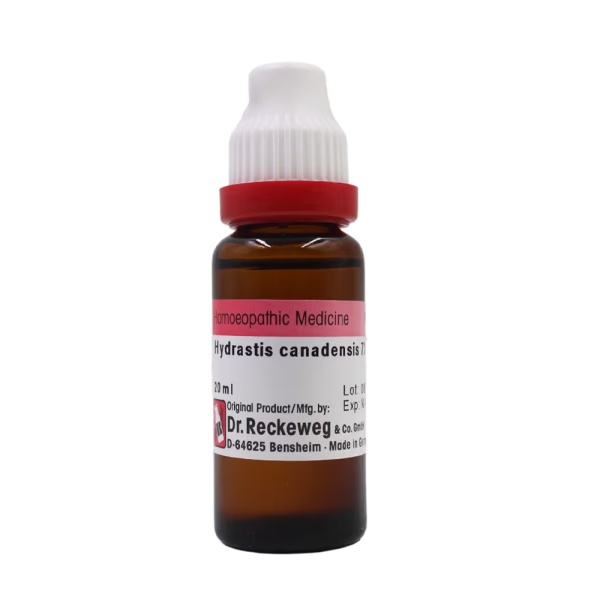Dr. Reckeweg Hydrastis Canadensis 7X Liqiud 20 ml