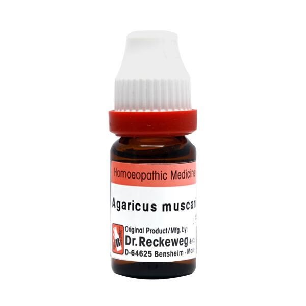 Dr. Reckeweg Agaricus Muscarius 200 Liquid 11 ml 1 12225-dr-reckeweg-agaricus-muscarius-200-liquid-11-ml-1.jpg