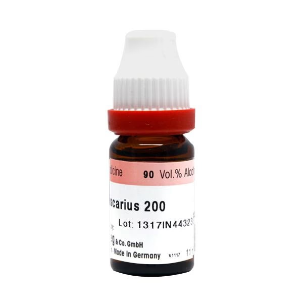 12225-dr-reckeweg-agaricus-muscarius-200-liquid-11-ml-1.jpg