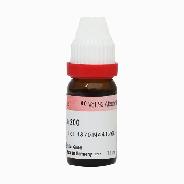 12844-dr-reckeweg-arum-triphyllum-200-liquid-11-ml-1.jpg