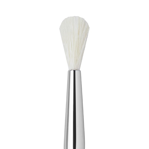 Europe Girl Brushes -51 No Brush 2 gm