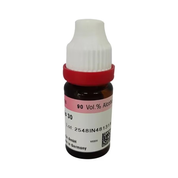 13119-dr-reckeweg-carbo-vegetabilis-cm-liquid-11-ml-1.jpg