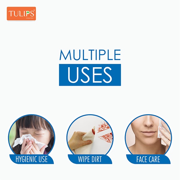 13464-tulips-facial-tissues-2ply-x-100-pulls-100-s-1.jpg
