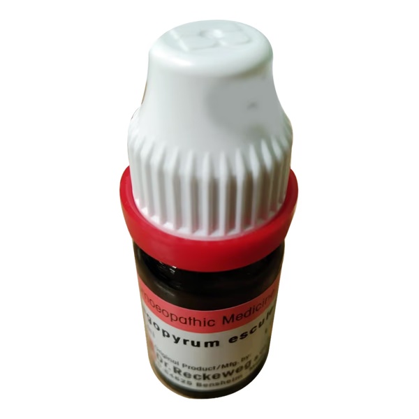 1368-dr-reckeweg-fagopyrum-200-liquid-11-ml-1.jpg