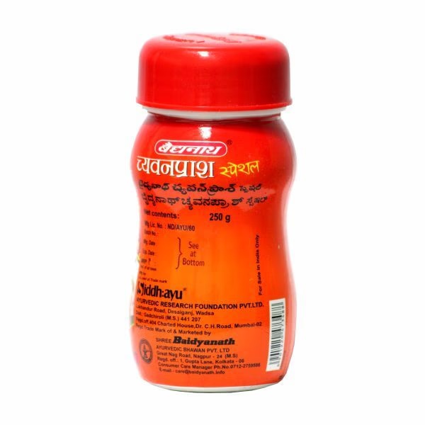 13892-baidyanath-chyawanprash-special-250-g-1.jpg