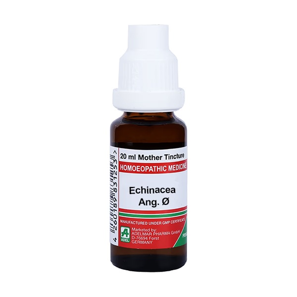 1580-adel-echinacea-ang-liquid-20-ml-1.jpg