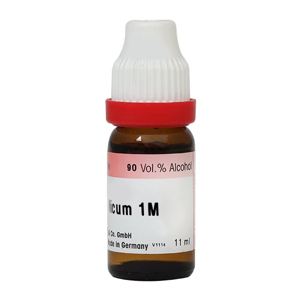 1608-dr-reckeweg-bismuthum-metallicum-1m-liquid-11-ml-1.jpg
