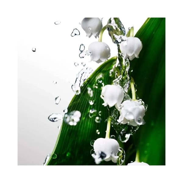 1673-davidoff-cool-water-woman-eau-de-toilette-spray-100-ml-1.jpg