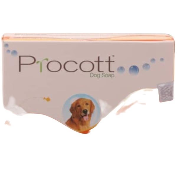 Intas Procott Soap 75 gm 1 2403-intas-procott-soap-75-gm-1.jpg