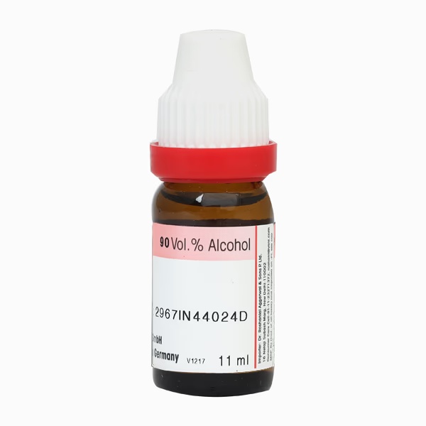 244-dr-reckeweg-coccus-cacti-200-liquid-11-ml-1.jpg