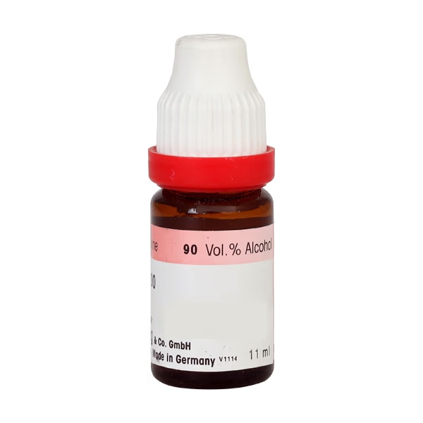 2830-dr-reckeweg-taraxacum-officinale-200-liquid-11-ml-1.jpg