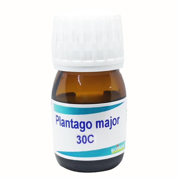 3318-boiron-plantago-major-30c-liquid-20-ml-1.jpg