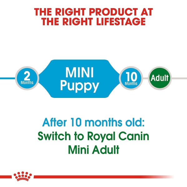 3425-royal-canin-mini-puppy-dry-dog-food-upto-10-kg-4-kg-1.jpg