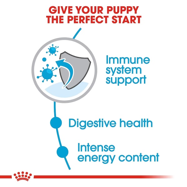 3425-royal-canin-mini-puppy-dry-dog-food-upto-10-kg-4-kg-1.jpg