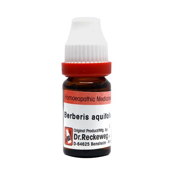 Dr. Reckeweg Berberis Aquifolium 200 Liquid 11 ml
