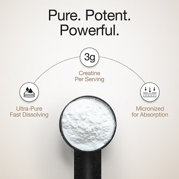 Wellbeing Nutrition 100% Pure Micronised Creatine Powder Monohydrate - Unflavoured, 30 Servings 100 gm