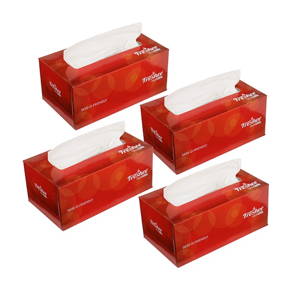 Freshee Value Plus 2 Ply Facial Tissues (Pack of 4)