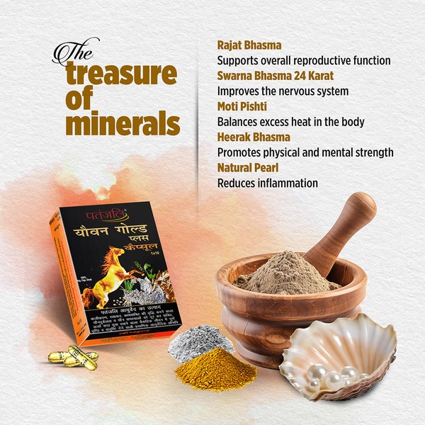 4416-patanjali-youvan-gold-plus-capsule-10-s-1.jpg