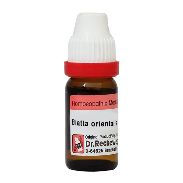 Dr. Reckeweg Blatta Orientalis 6 Liquid 11 ml