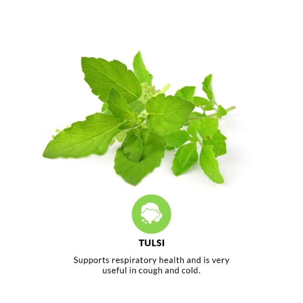 4526-pravek-tulsi-capsules-60-s-1.jpg
