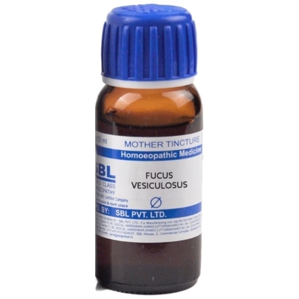 SBL Fucus Vesiculosus Q Liquid 30 ml 1 4784-sbl-fucus-vesiculosus-q-liquid-30-ml-1.jpg