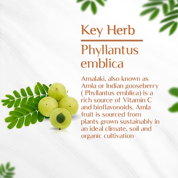 4981-maharishi-ayurveda-organic-amalaki-capsule-60-s-1.jpg