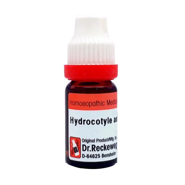 Dr. Reckeweg Hydrocotyle Asiatica 1M Liquid 11 ml 1 5098-dr-reckeweg-hydrocotyle-asiatica-1m-liquid-11-ml-1.jpg