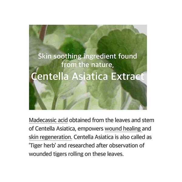 5109-mixsoon-soondy-centella-asiatica-essence-100-ml-1.jpg