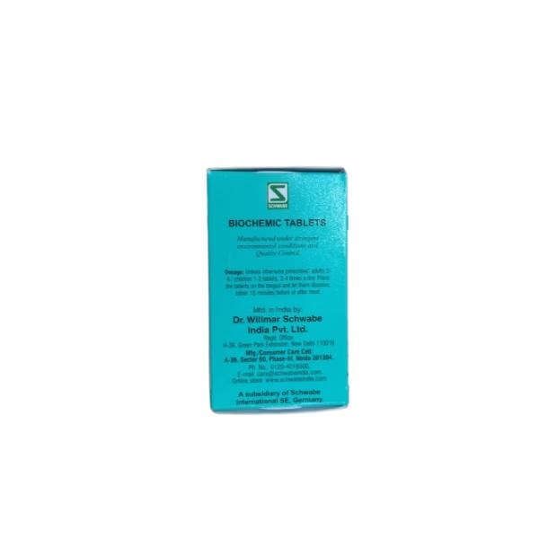 Dr.Willmar Schwabe Ferrum Phosphoricum 3X Tablet 25 gm