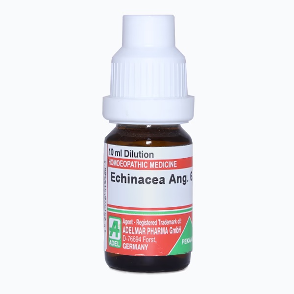 Adel Echinacea Ang. 6 Liquid 10 ml