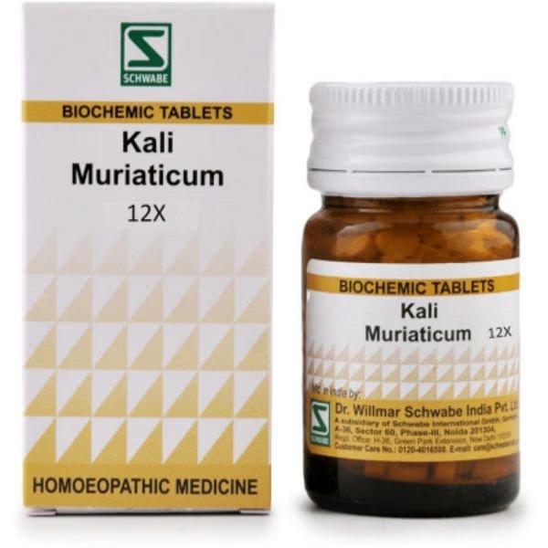 Dr. Willmar Schwabe Kali Muriaticum 12X Tablet 20 gm 1 6442-dr-willmar-schwabe-kali-muriaticum-12x-tablet-20-gm-1.jpg