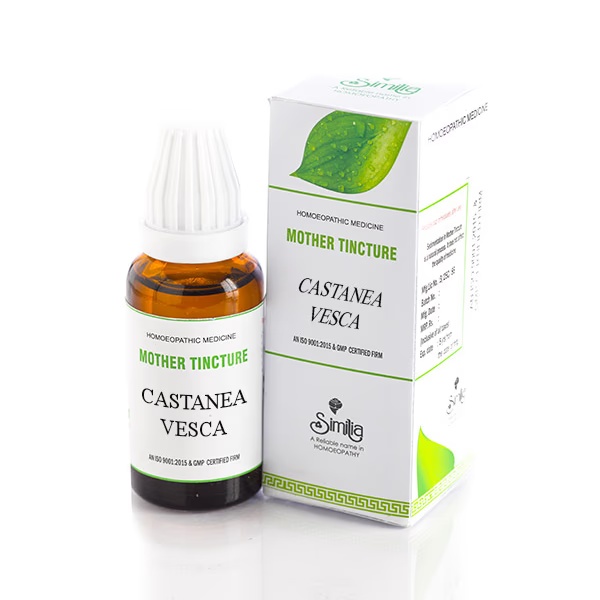 Similia Mother Tincture Castanea Vesca Liquid 30 ml
