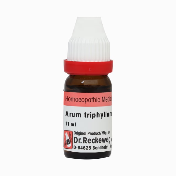Dr. Reckeweg Arum Triphyllum 1M Liquid 11 ml 1 7263-dr-reckeweg-arum-triphyllum-1m-liquid-11-ml-1.jpg