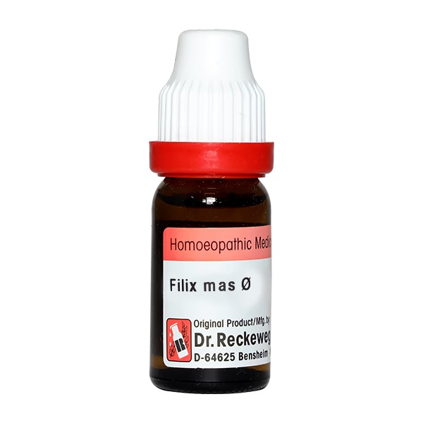 Dr. Reckeweg Filix Mas Liquid 20 ml 1 7363-dr-reckeweg-filix-mas-liquid-20-ml-1.jpg