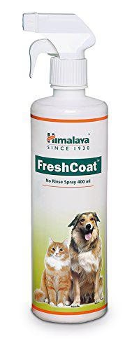 Himalaya Freshcoat Spray 400 ml