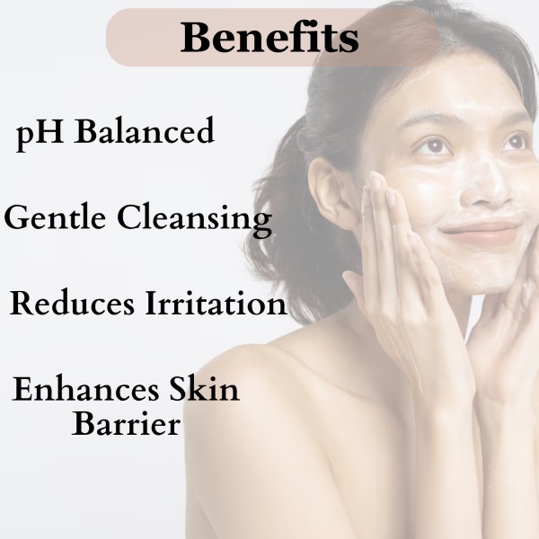 7647-dermistry-safe-cleansing-sensitive-amp-dry-skin-face-wash-100-ml-1.jpg