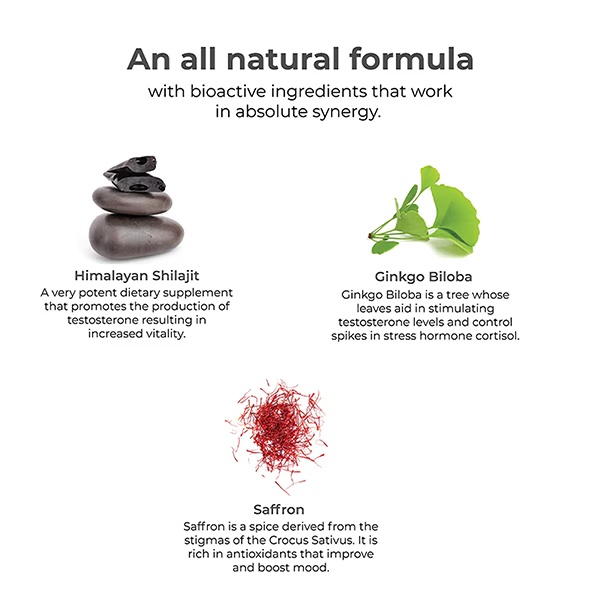 Wellbeing Nutrition Melts Testo Power Testofen, Himalayan Shilajit, Ginkgo biloba 30 Strips