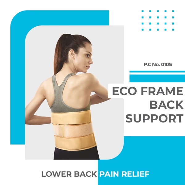Vissco Eco Frame Back Support (XL) 1's