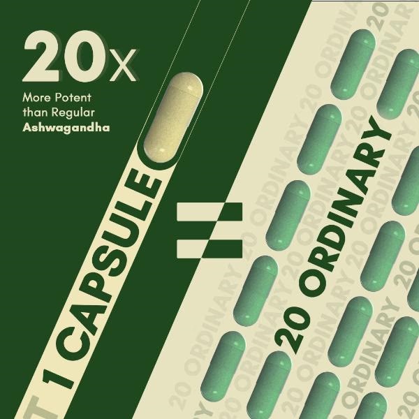7874-rasayanam-ashwagandha-ksm66-500-mg-capsules-60-s-1.jpg