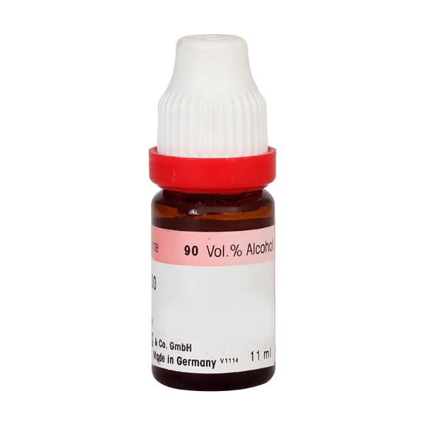 8031-dr-reckeweg-spigelia-liquid-20-ml-1.jpg