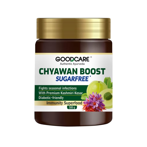 Goodcare Chyawan Boost SugarFree 500 g