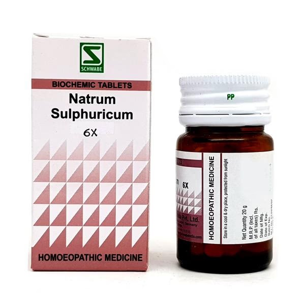 Dr.Willmar Schwabe Natrum Salicylicum 6X Tablet 20 gm