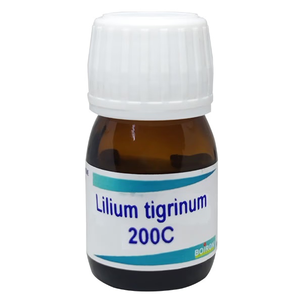 Boiron Ledum Palustre 200C Liquid 20 ml 1 8455-boiron-ledum-palustre-200c-liquid-20-ml-1.jpg