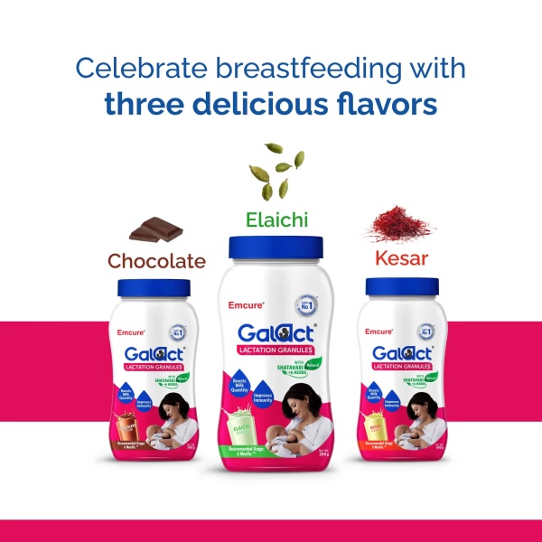 8647-galact-lactation-granules-chocolate-flavor-200-g-1.jpg