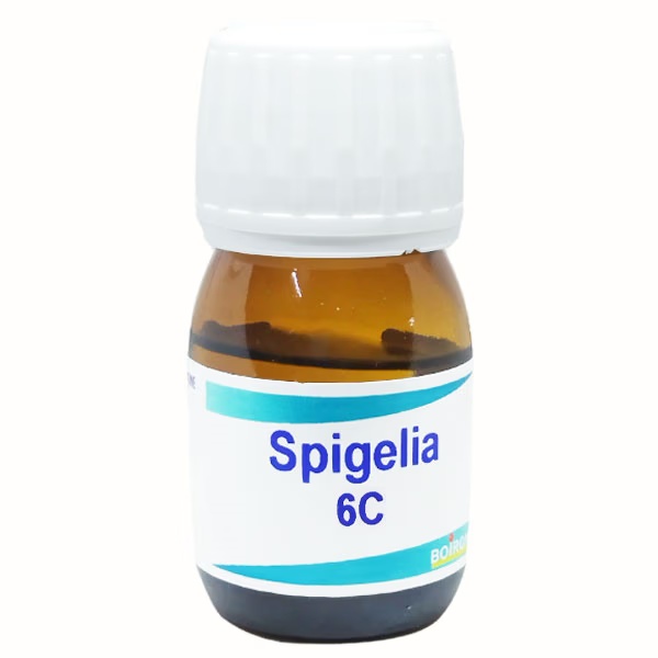 Boiron Spigelia 6C Liquid 20 ml 1 8809-boiron-spigelia-6c-liquid-20-ml-1.jpg