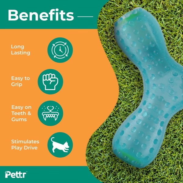 9111-pettr-chatter-toy-for-dogs-1-s-1.jpg