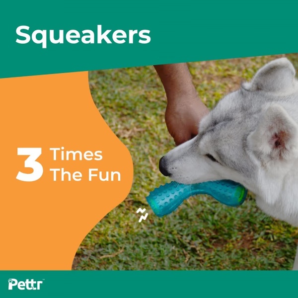 9111-pettr-chatter-toy-for-dogs-1-s-1.jpg