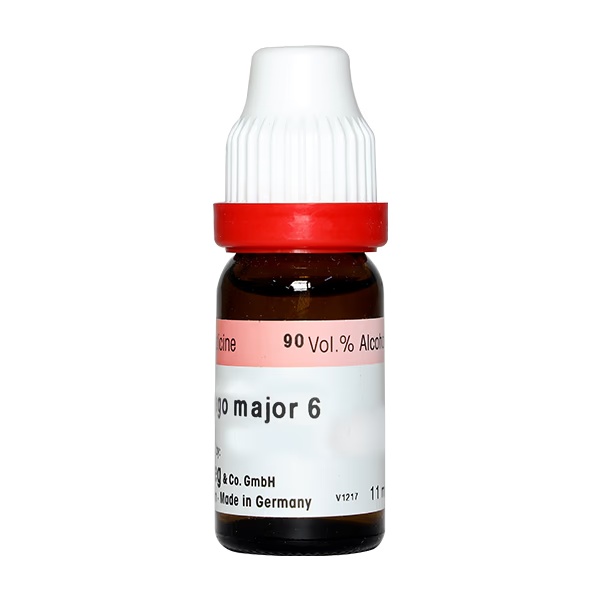 9308-dr-reckeweg-plantago-major-6-liquid-11-ml-1.jpg